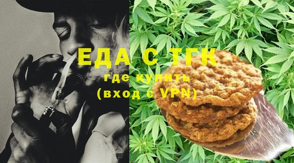 спиды Ельня