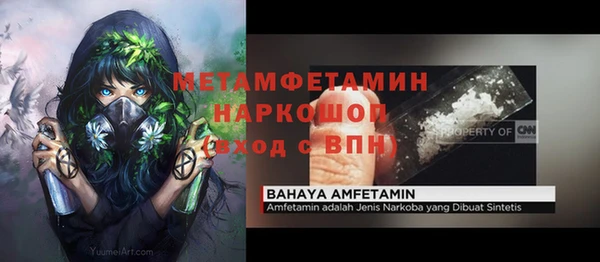 спиды Ельня