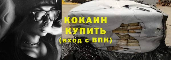 спиды Ельня
