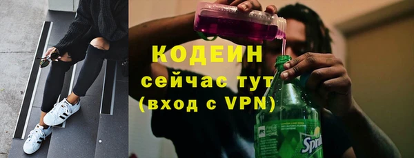 спиды Ельня