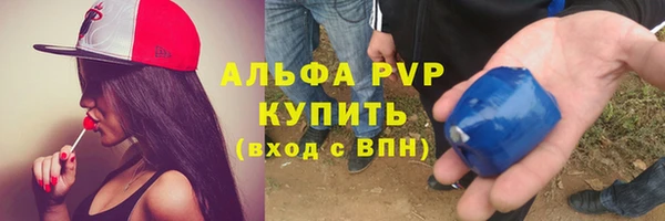 спиды Ельня