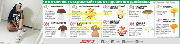 спиды Ельня