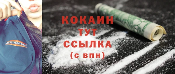 спиды Ельня