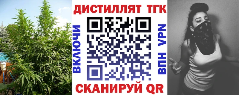 Дистиллят ТГК вейп с тгк  Купить закладки  Кедровый 