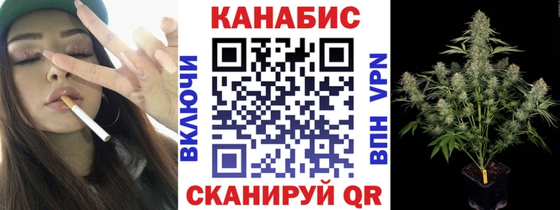 Купить закладки  Кедровый  Бошки марихуана тримм 